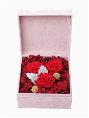 永爱----永生花盒：厄瓜多尔进口红色永生玫瑰